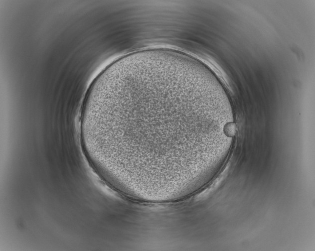 X0000111120814200907281028