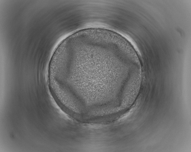 X0000111120815200907281028