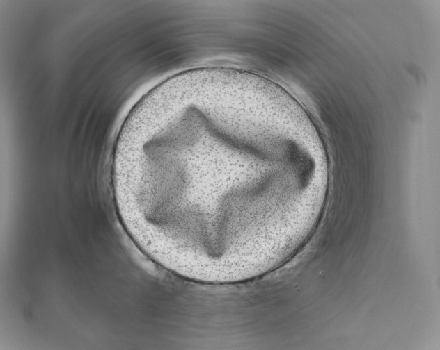 X0000111120816200907281027