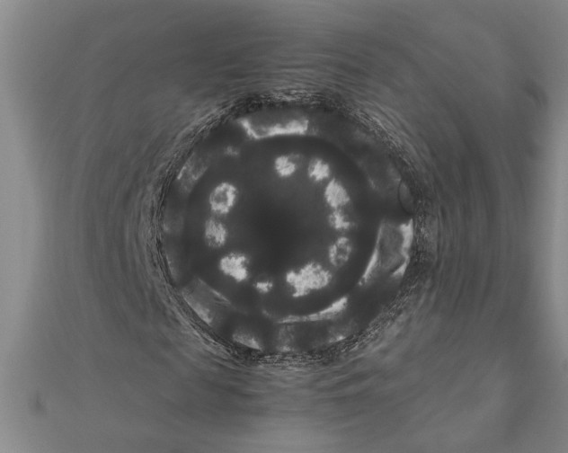 X0000111120817200907281027