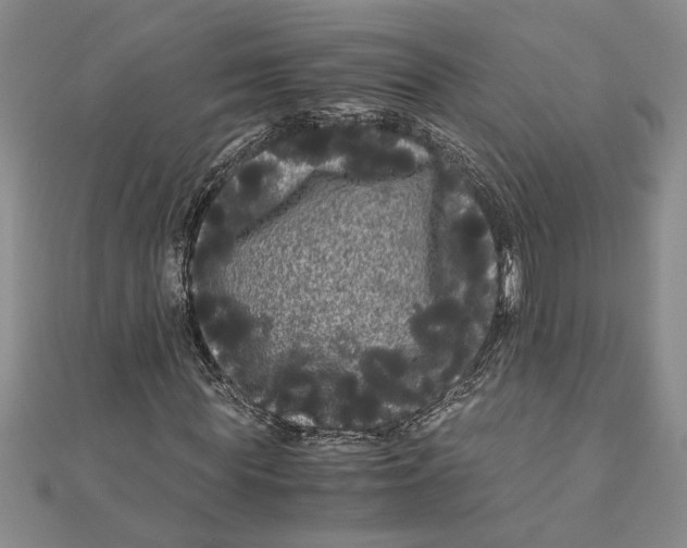 X0000111120819200907281027