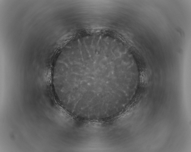 X0000111120820200907281027