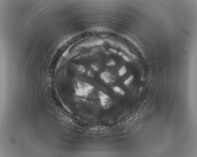X0000111120823200907281027