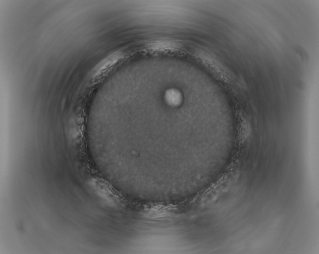 X0000111120824200907281027
