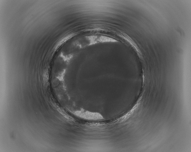 X0000111120826200907281027