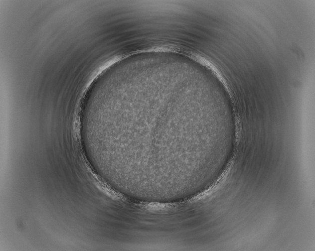 X0000111120827200907281027