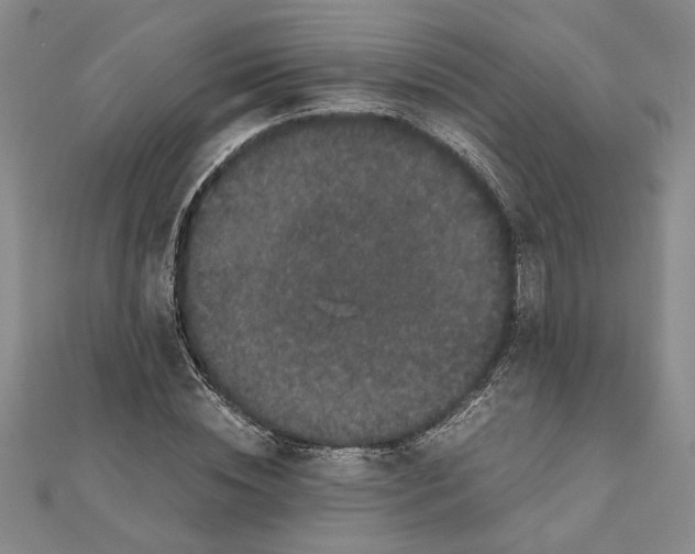 X0000111120828200907281027