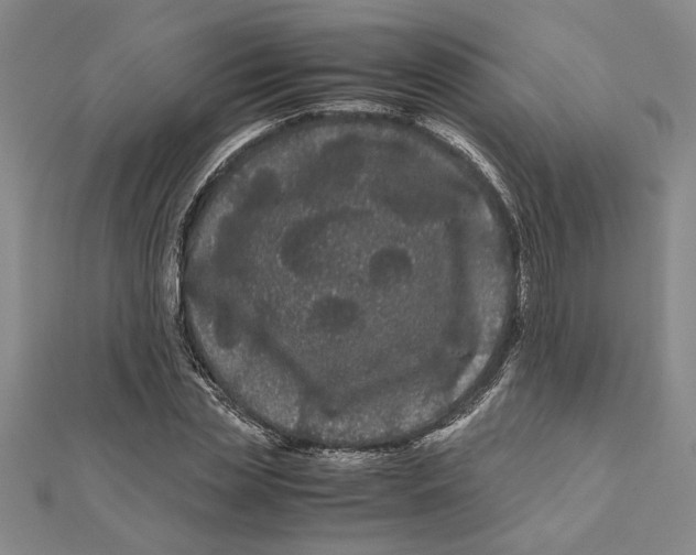 X0000111120829200907281027