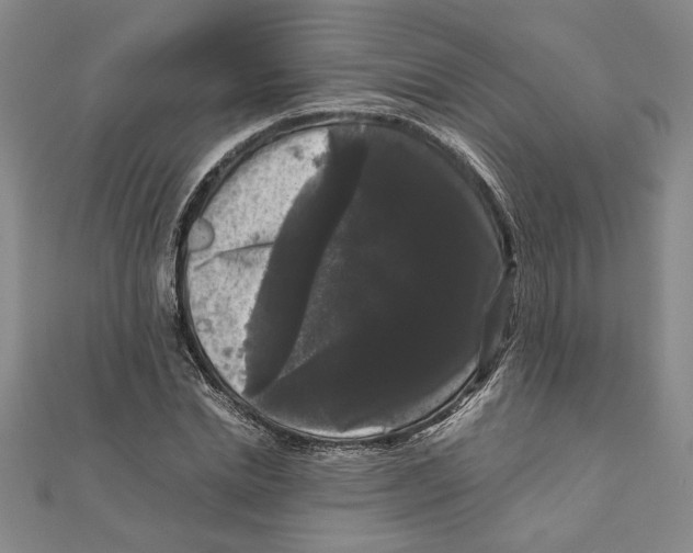 X0000111120830200907281027