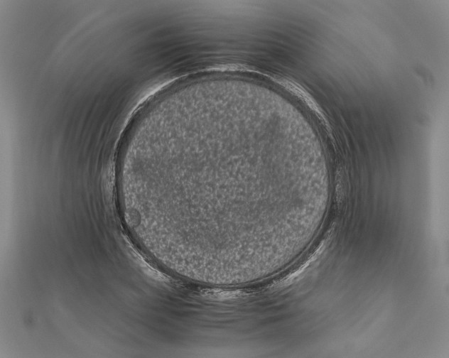X0000111120831200907281027