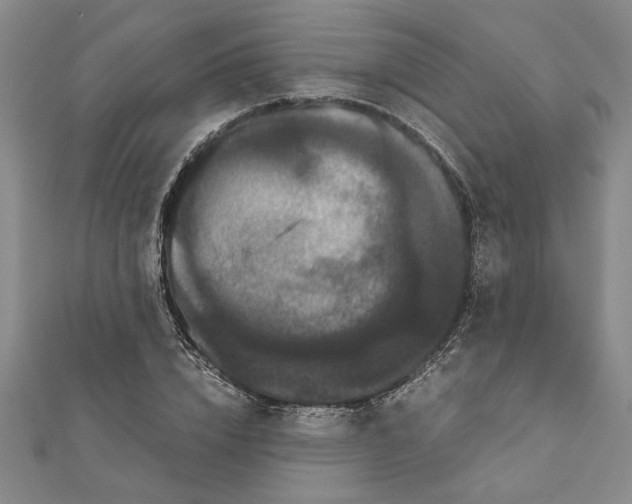 X0000111120832200907281027