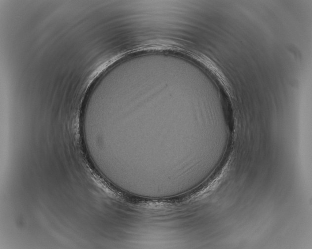 X0000111120834200907281027