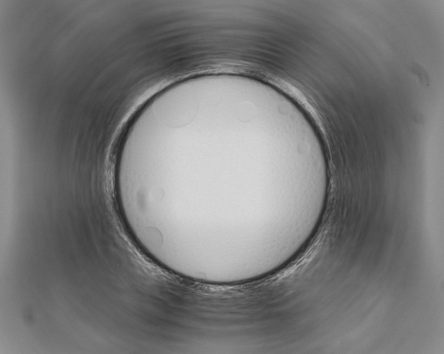 X0000111120835200907281027