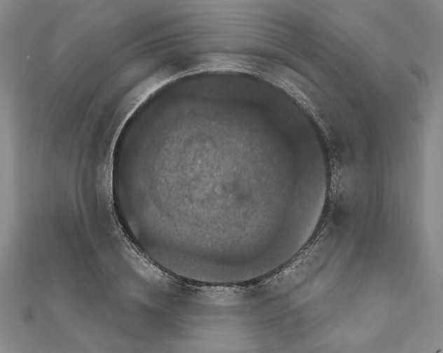 X0000111120836200907281027
