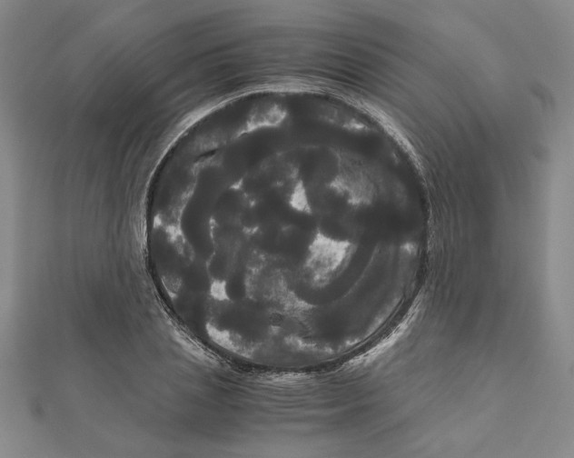 X0000111120837200907281027