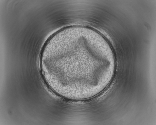 X0000111120838200907281027