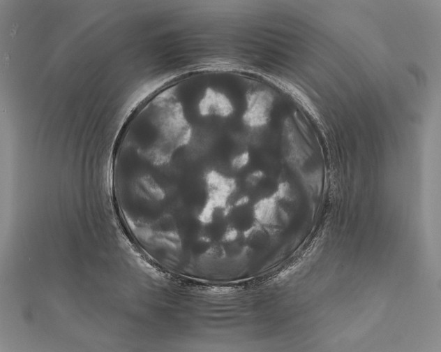 X0000111120839200907281027
