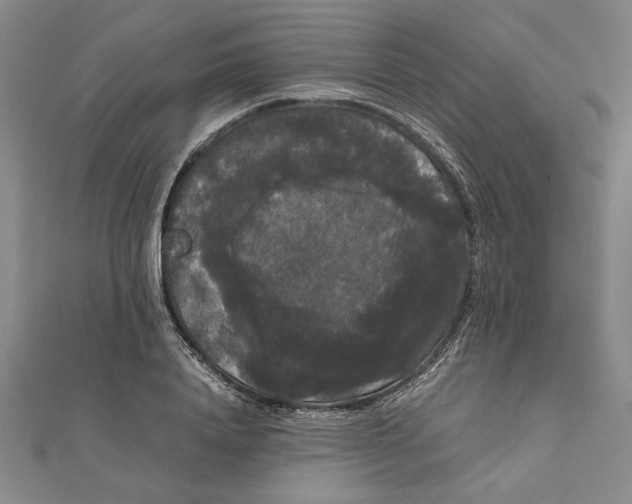 X0000111120840200907281027