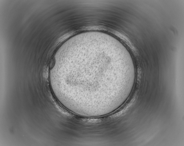 X0000111120841200907281027