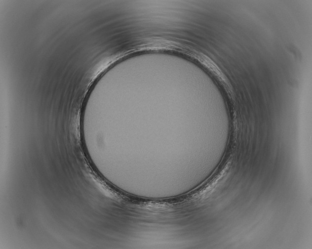 X0000111120842200907281027