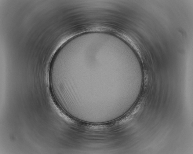 X0000111120843200907281027