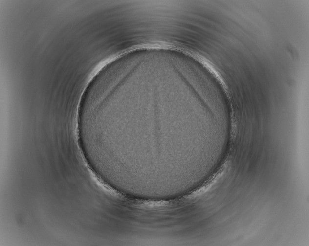X0000111120845200907281027