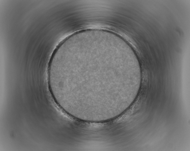 X0000111120848200907281027