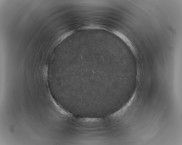 X0000111120849200907281027