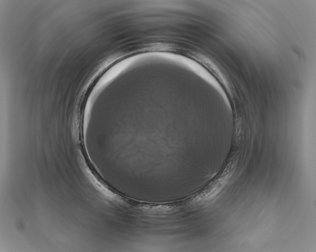 X0000111120851200907281027
