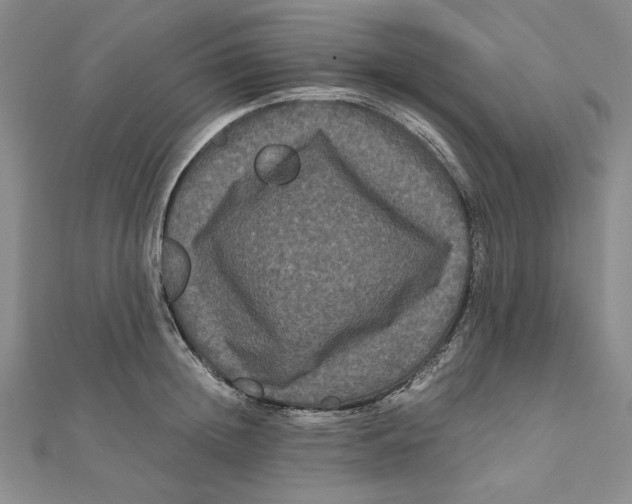 X0000111120852200907281027