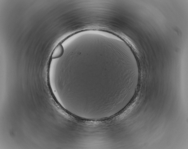 X0000111120854200907281027