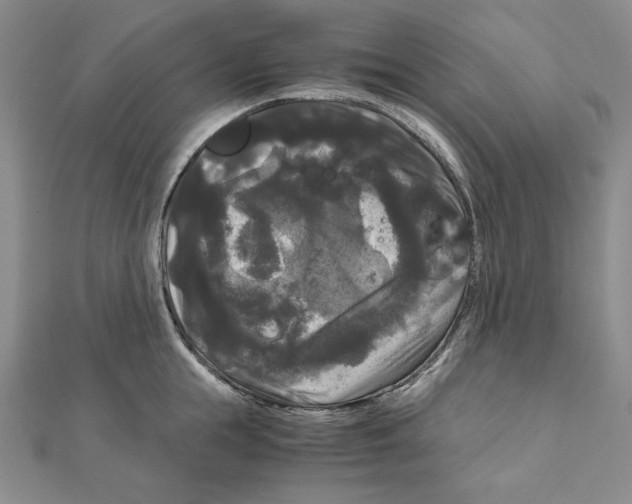 X0000111120855200907281027