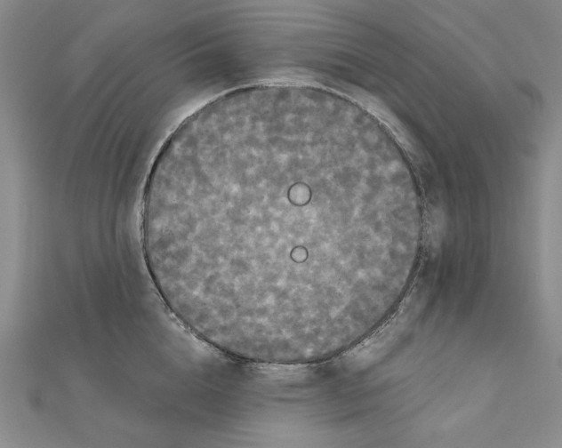 X0000111120856200907281027