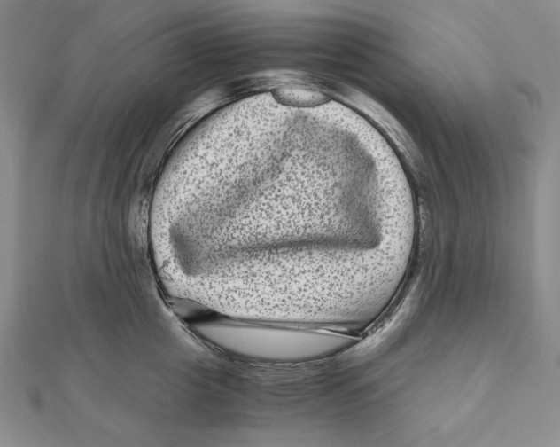 X0000111120857200907281027