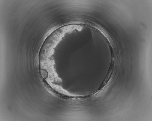 X0000111120858200907281027