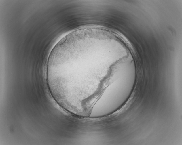 X0000111120860200907281027