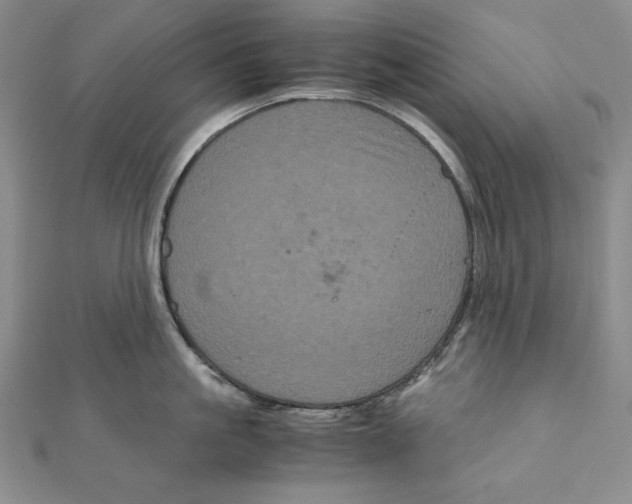 X0000111120861200907281027