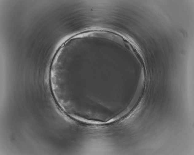 X0000111120862200907281027