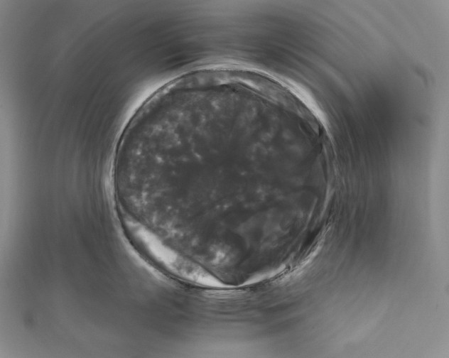 X0000111120863200907281027