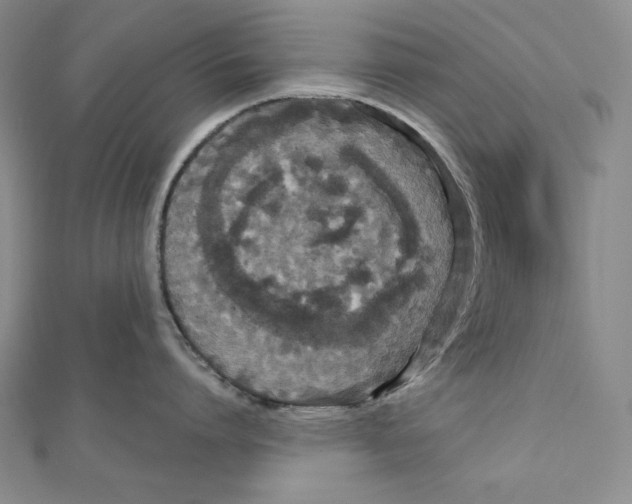 X0000111120864200907281027