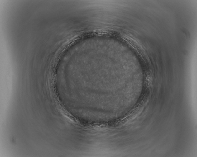 X0000111120865200907281027