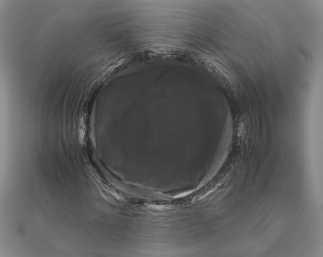 X0000111120868200907281027