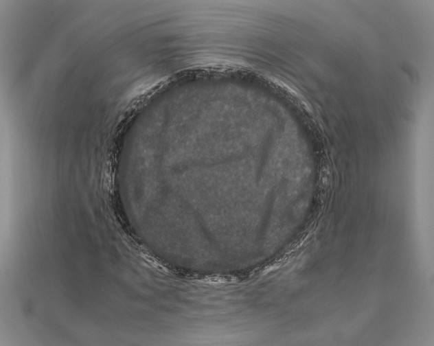 X0000111120869200907281027