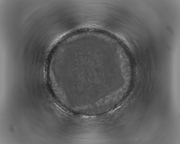 X0000111120872200907281027