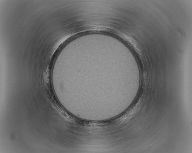 X0000111120875200907281027