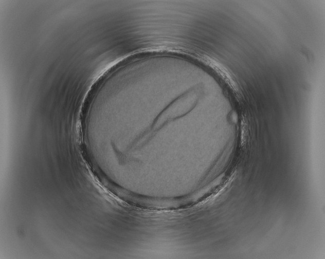 X0000111120876200907281027
