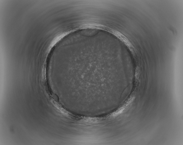 X0000111120877200907281027