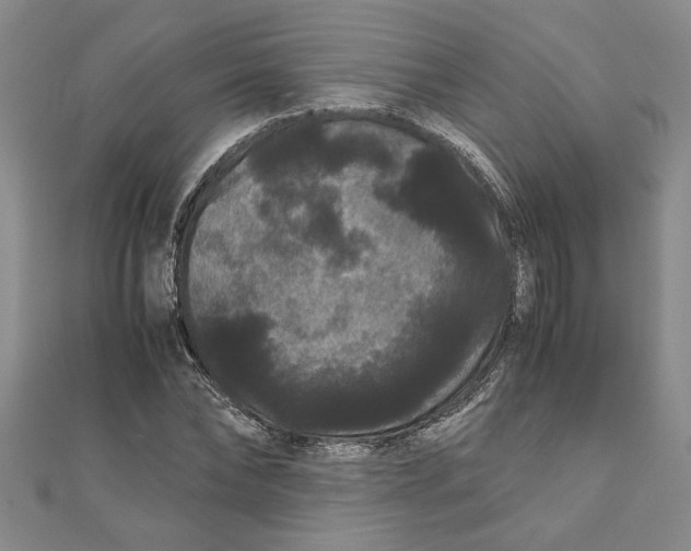 X0000111120878200907281027
