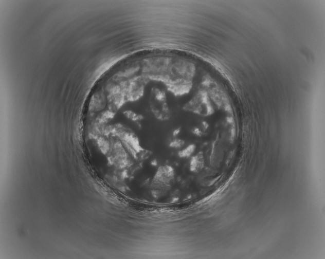 X0000111120879200907281027