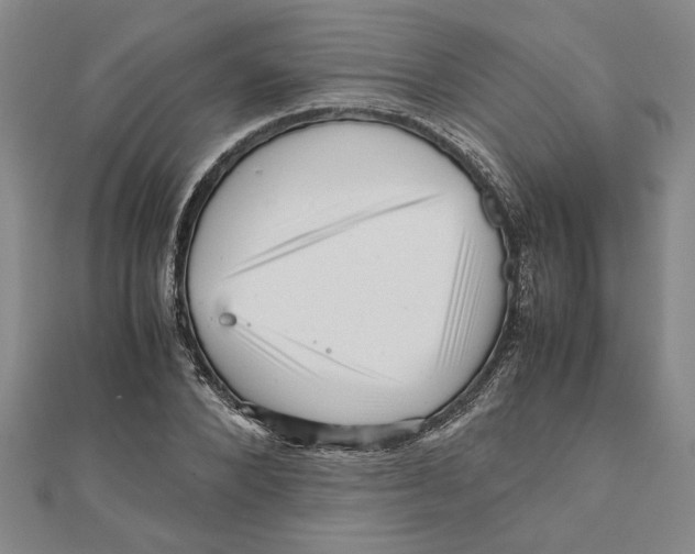 X0000111120880200907281027